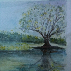 Watercolour